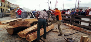 Big Log Story